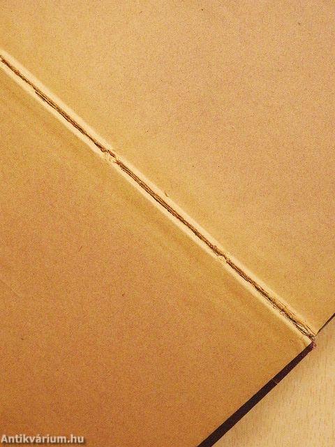 1870-ik évi országgyülési törvény-czikkek