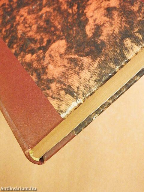 Egy alföldi cívis-város kialakulása