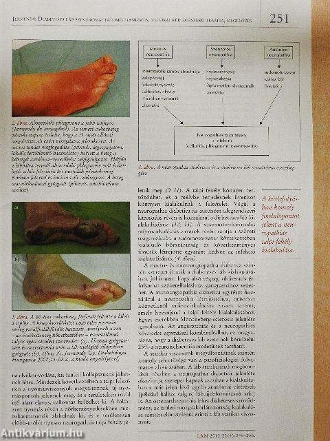 Lege Artis Medicinae 2012. április 