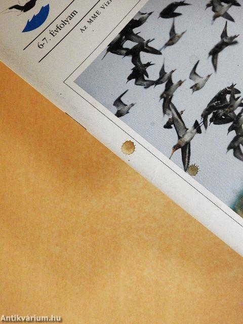 Partimadár 1997-1998