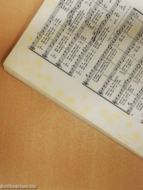 VI. Határmenti karvezető- és énekkari kurzus