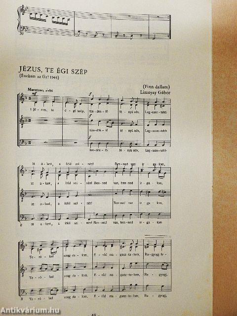 VI. Határmenti karvezető- és énekkari kurzus