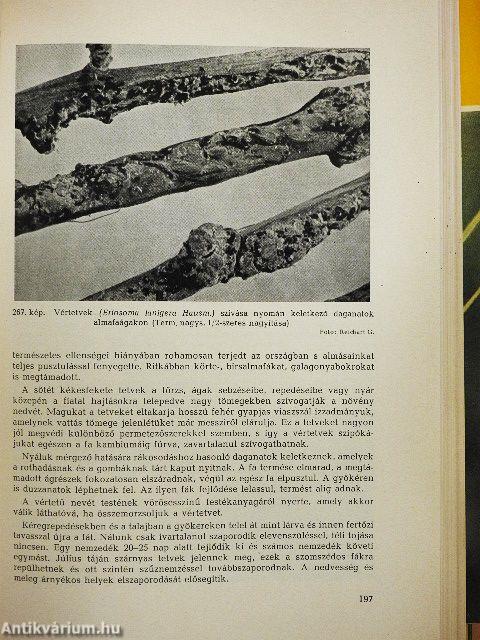 Termesztett növényeink védelme