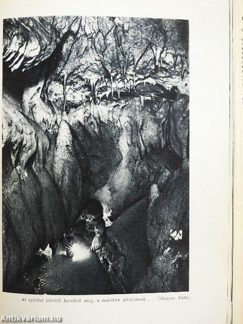 Felfedező utakon a föld alatt