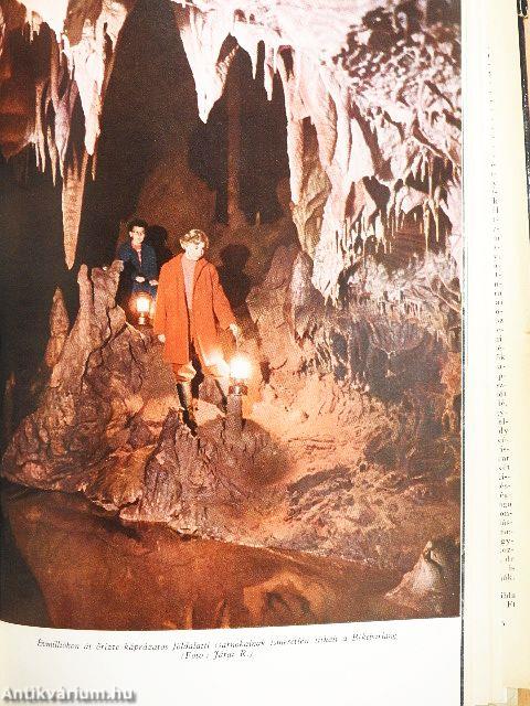 Felfedező utakon a föld alatt