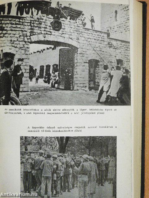 A gyilkosok közöttünk járnak
