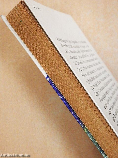 Tót atyafiak/A jó palócok