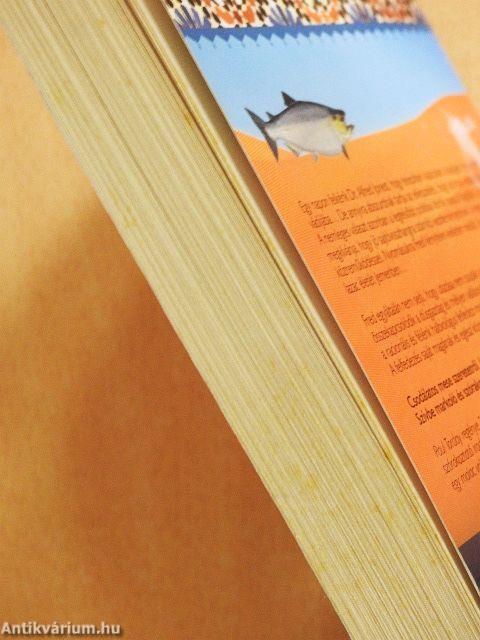 Lazacfogás Jemenben