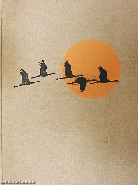 Végtelen vadászmezőkön