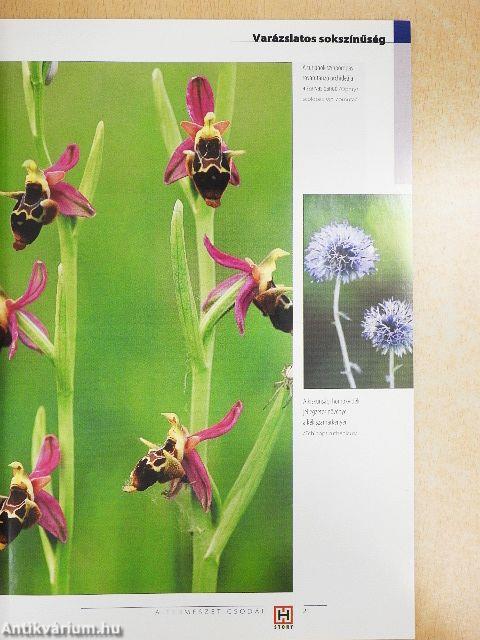 A természet csodái Magyarországon