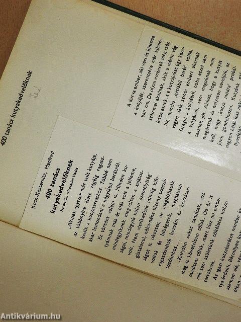 400 tanács kutyakedvelőknek