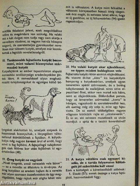 400 tanács kutyakedvelőknek