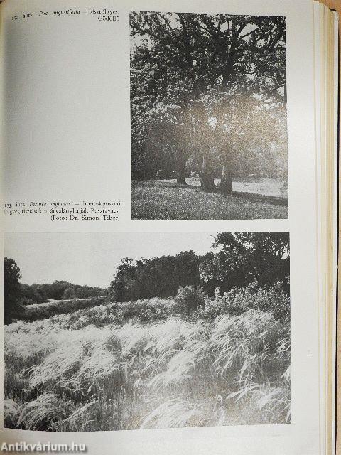 Magyarország erdőtársulásai