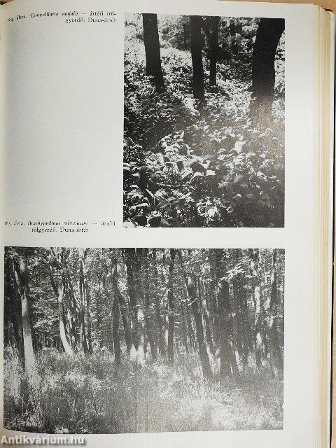 Magyarország erdőtársulásai