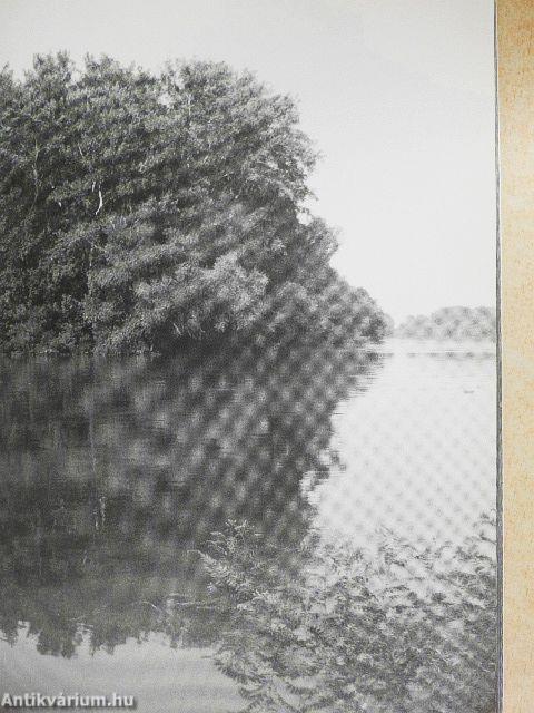 Hatvannégy vers, kép, év