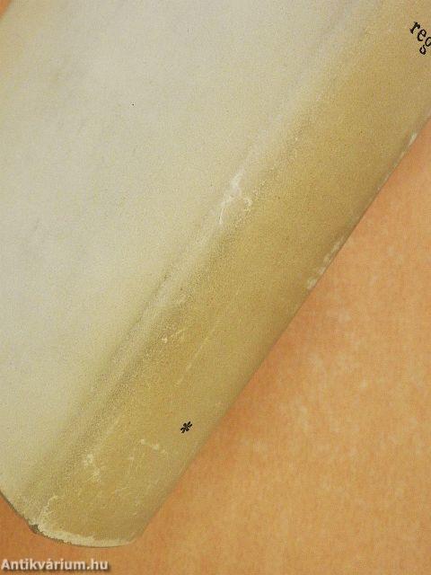 Kaffka Margit regényei I-II.