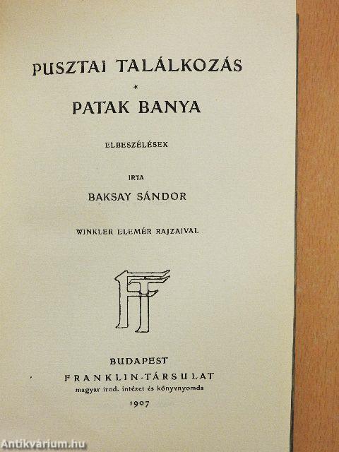 Pusztai találkozás/Patak banya