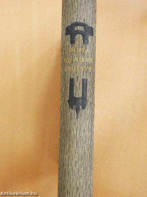 Egy mérnök regénye