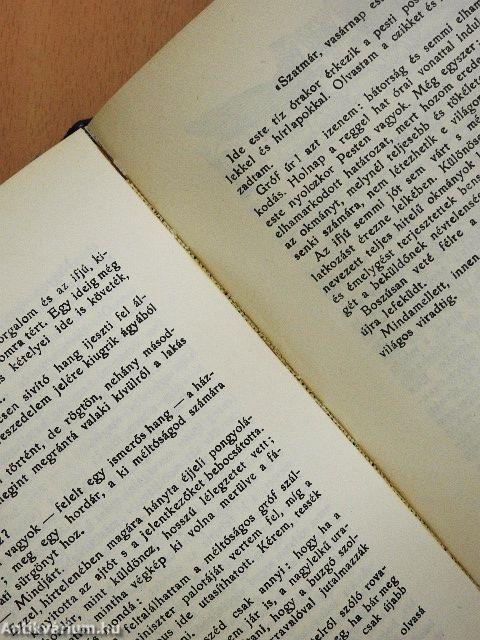 Egy mérnök regénye