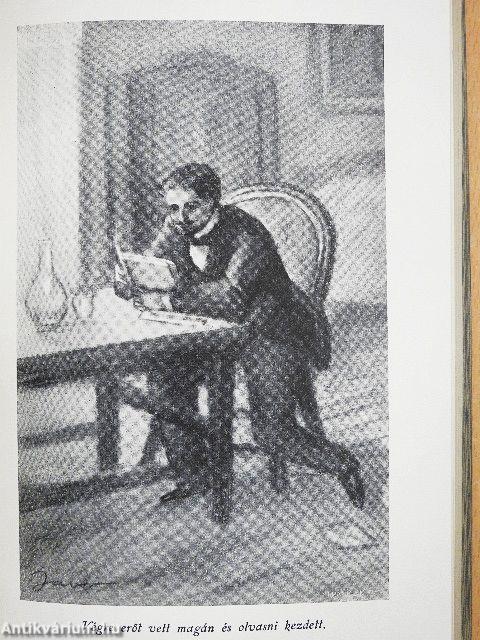 Egy mérnök regénye