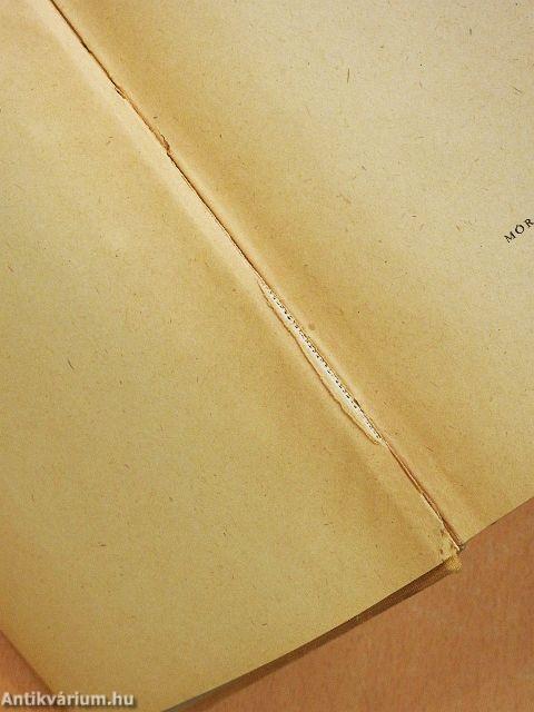 A Pál utcai fiúk/Tanár úr kérem