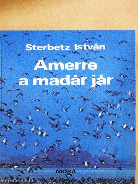 Amerre a madár jár