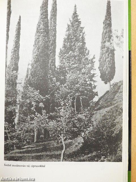 Rejtelmes-e a növényi élet?