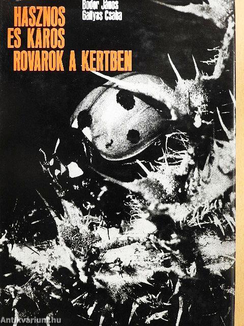 Hasznos és káros rovarok a kertben