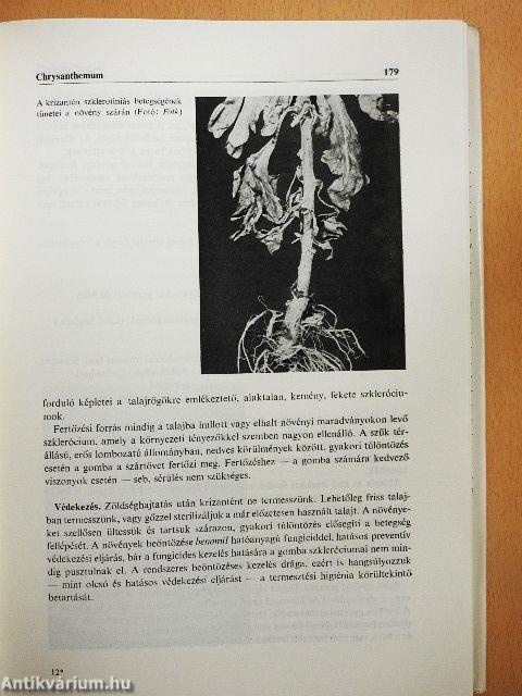 Dísznövényvédelem