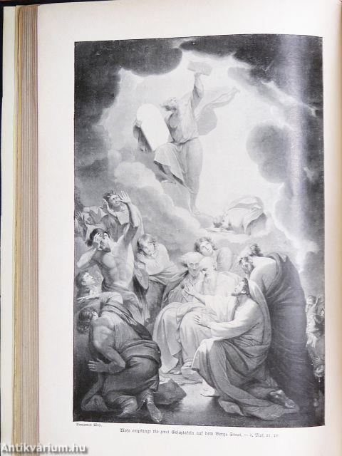 Tausend-Bilder-Bibel (gótbetűs)