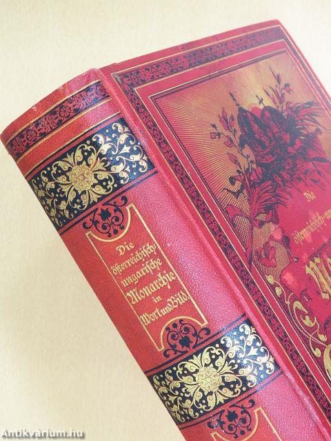 Die österreichisch-ungarische Monarchie in Wort und Bild - Galizien (gótbetűs)