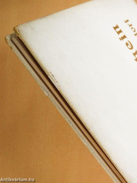 Album vom Rhein von Mainz bis Düsseldorf