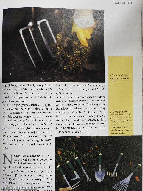 Jó tanácsok minden kerti munkához