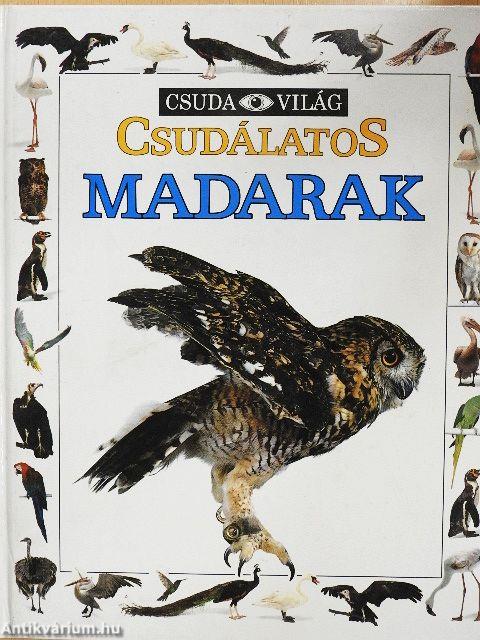 Csudálatos madarak