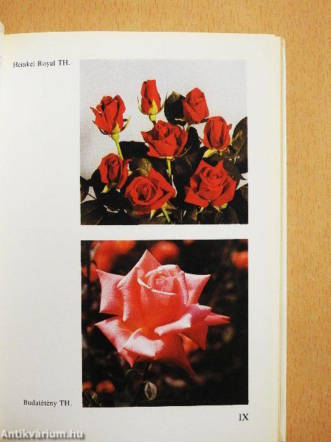 Rózsák zsebkönyve