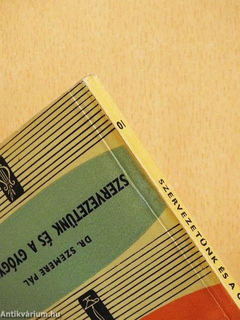 Szervezetünk és a gyógyszerek