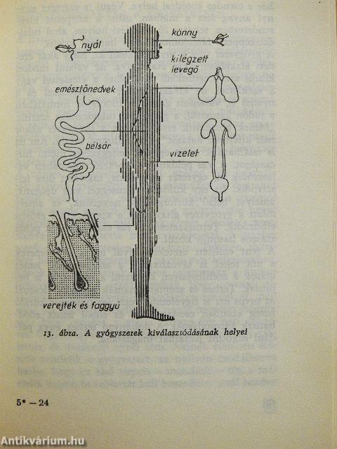 Szervezetünk és a gyógyszerek