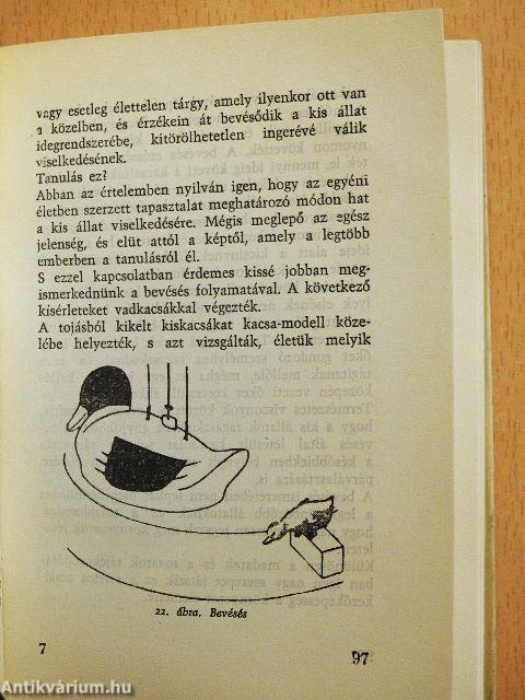 Gondolkodnak-e az állatok?