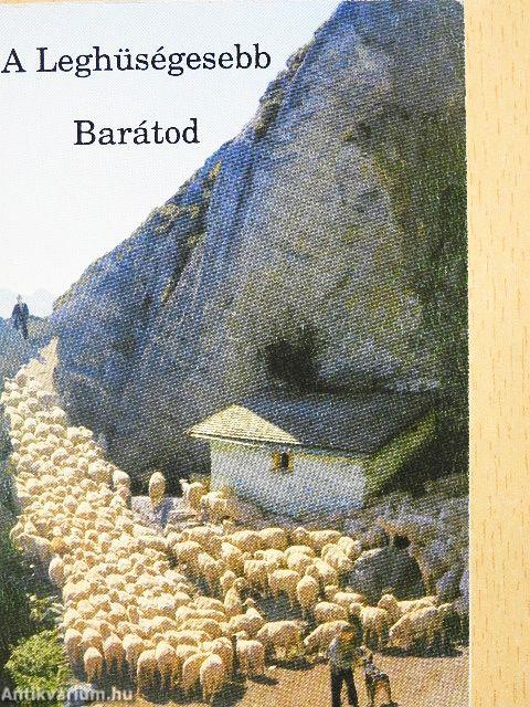 A Leghüségesebb Barátod