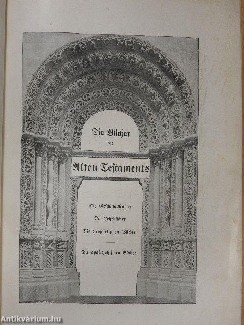 Tausend-Bilder-Bibel (gótbetűs)