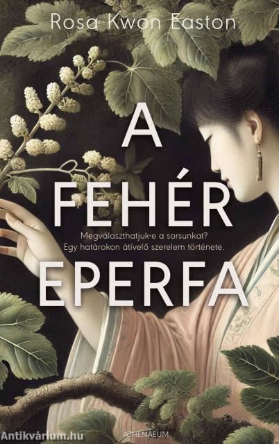 A fehér eperfa