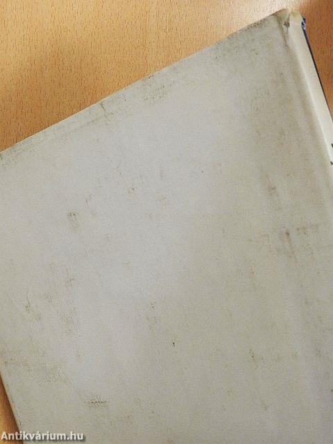 Az ezeréves Székesfehérvár