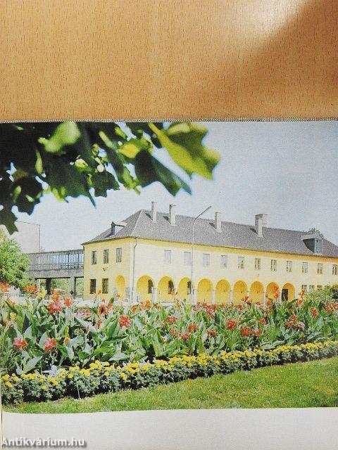 Az ezeréves Székesfehérvár