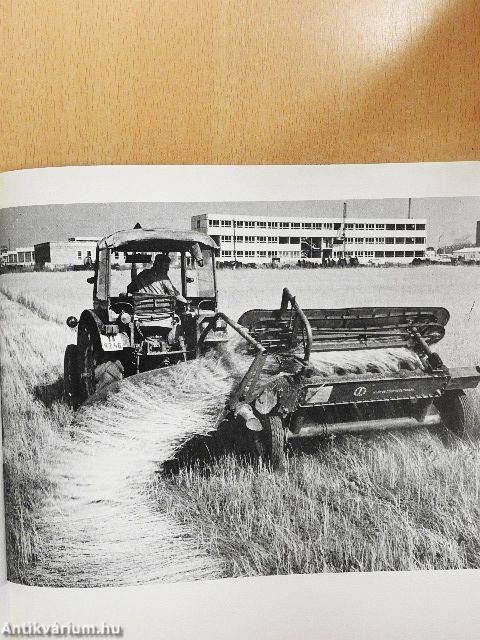 Az ezeréves Székesfehérvár