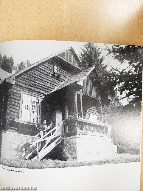 A Lenti járás monográfiája