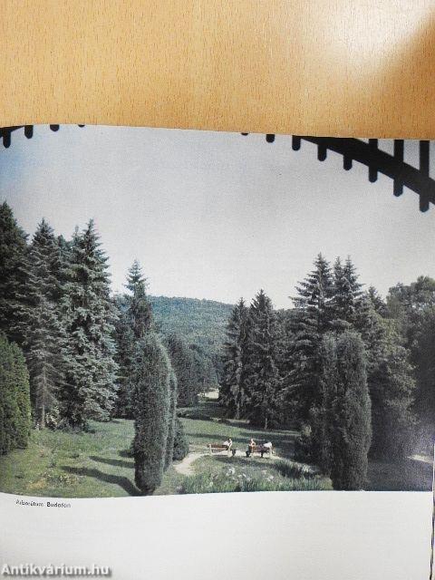 A Lenti járás monográfiája