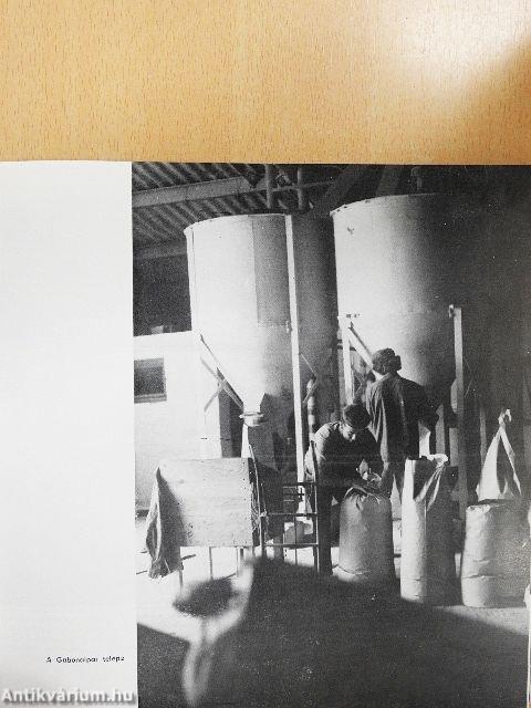 A Lenti járás monográfiája