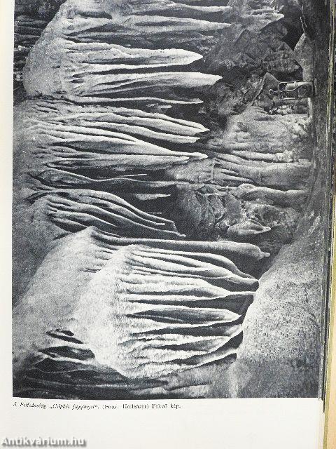 A békebarlang felfedezése