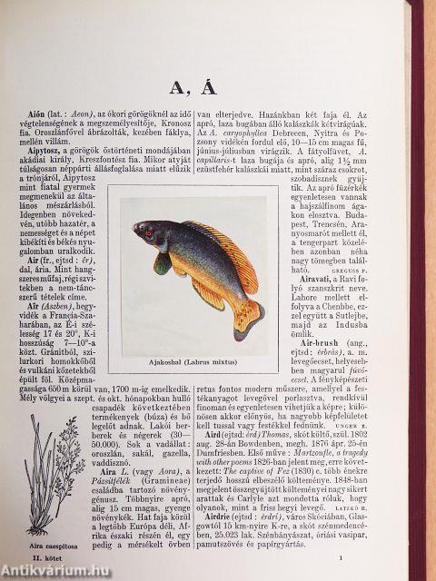 Gutenberg Nagy Lexikon 1-10.