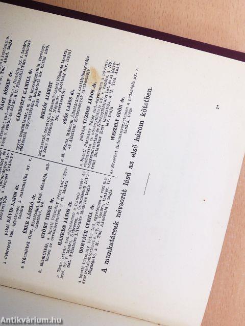 Gutenberg Nagy Lexikon 1-10.